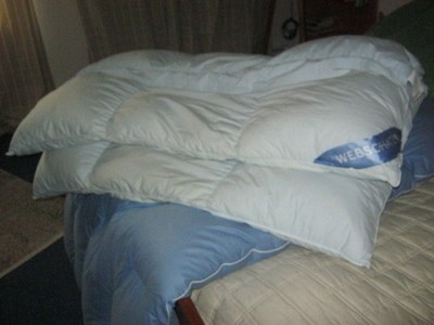 DAS BESTE VOM BESTEN WEBSCHATZ 100 % DAUNEN STEPPBETT DAUNENSTEPPBETT BILDER