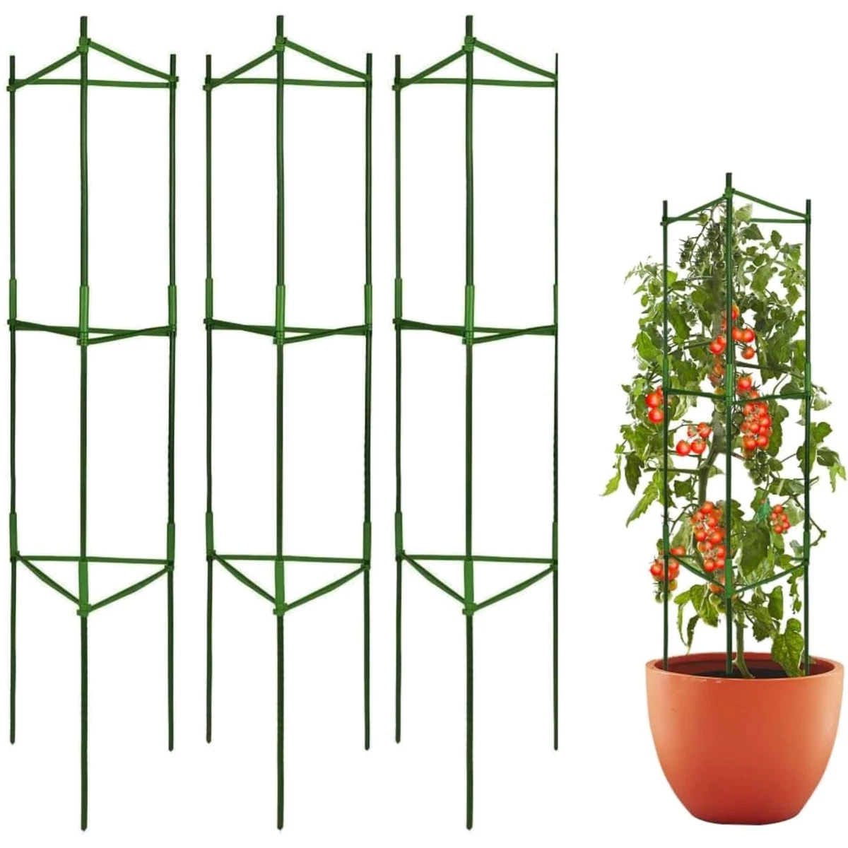 Tomaten Rankhilfe in Spaliere online kaufen | eBay.de