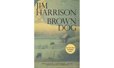 Brown Dog - Paperback   Grove Press Diecast Model