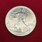 1991 American Silver Eagle 1 Troy Oz. .999 Fine One Dollar BU Uncirculated Coin