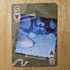 Crocodile Hunter Steve Irwin | 2001 Bicycle Playing Card - Five of Hearts