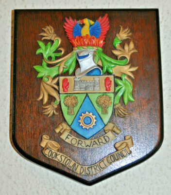 Cookstown District Council Plakette Schild Wappen Wappen