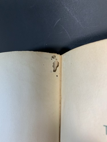 The Book of Insect Oddities Hardcover 1938 Illustrated Natural History HTF - Picture 10 of 21