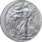 2019 DC* Silver American Eagle $1 Misaligned Obverse Die Overstruck ANACS MS69