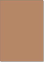 Folia Fotokarton 300G/M² - 50X70Cm Rehbraun 25 Bogen