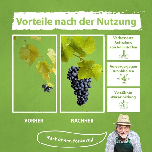 Weinreben Weintrauben Dnger Flora Boost Top Ernte Pflanzengesundheit 1  Liter | eBay.de