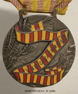 AFRICA CAMPAIGNS IVth COLONIAL BRIGADE SILVER MEDAL COLONIAL TROOPS