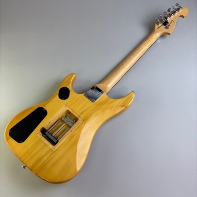 Washburn N2 w/soft case USED | eBay