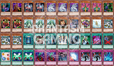 Apprentice Monarch Deck Jinzo Cyber Dragon Raiza Storm Monarch Yugioh