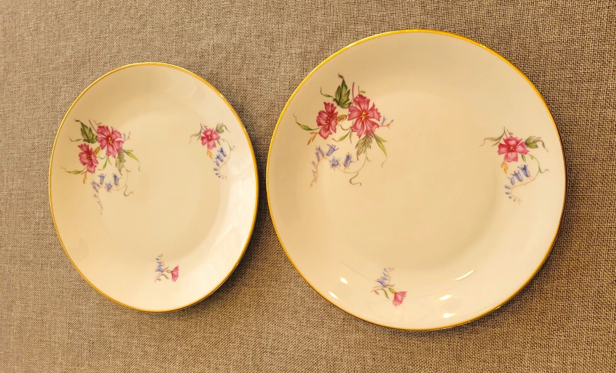 Hutschenreuther Floral Dinnerware Plates for sale | eBay