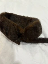 Genuine Fox Fur Women's Collar