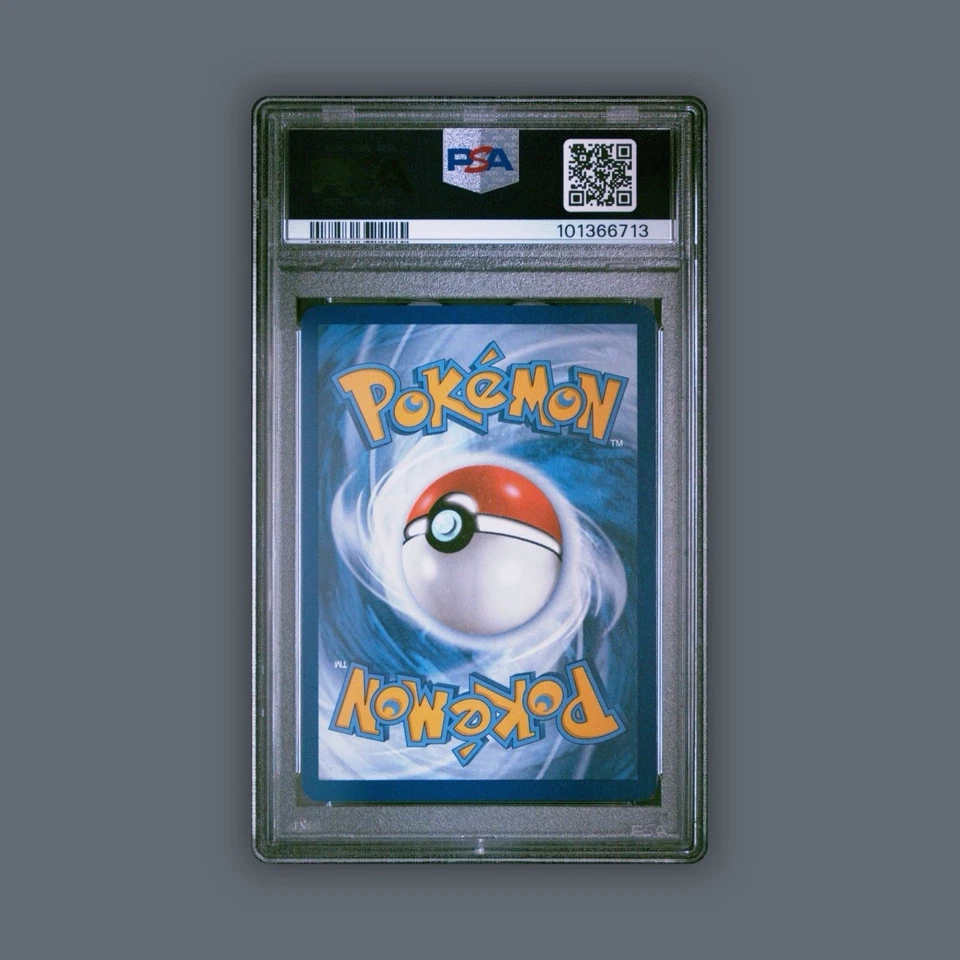 2023 Pokemon CLB EN #001/034 Squirtle PSA 8 NM-MT TCG Starter/Basic Pokemon - Image 3 of 3