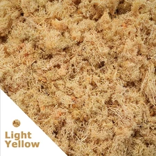 Artificial Green Plants Eternal Life Moss DIY Crafts Grass Garden Home Room Deco