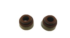 CLUB CAR DS And Pres. VALVE Stem SEALS  1992-UP FE290 ,FE350 -SET OF 2 US Seller