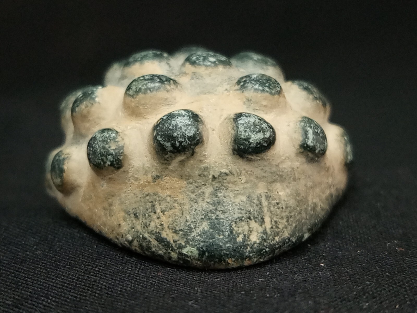 Picture 3 of 23