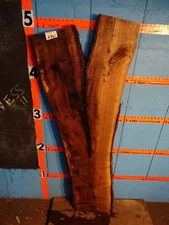 A361  -  1 1/2" THICK  -  black walnut live edge slab table shelf bench