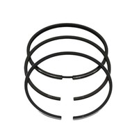 Kolbenringsatz (1,00 Mm ÜBergrößE-101,00 Mm): Kompatibel Mit Lombardini / 7LD 74