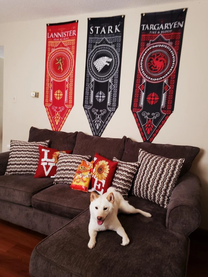 Juego de Tronos Casa Banner 3pk, Casa Stark, Targaryen, Lannister Foto 3 de 4
