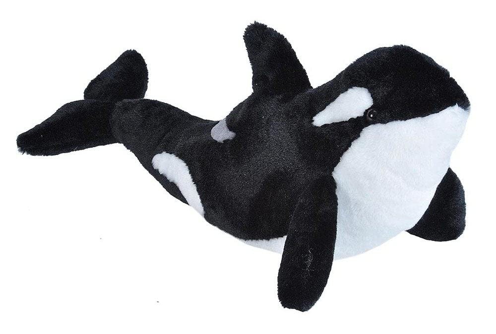 Peluche Orca Orque Cuddlekins 30 cm | Jouet et Doudou pour Enfants