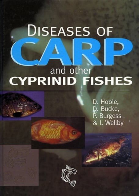 Diseases of Carp and Other Cyprinid Fishes Hoole Hoole Bucke Burgess Wellby