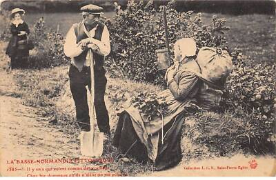 Agriculture - n°82687 - Picturesque Lower Normandy - There are some who fly