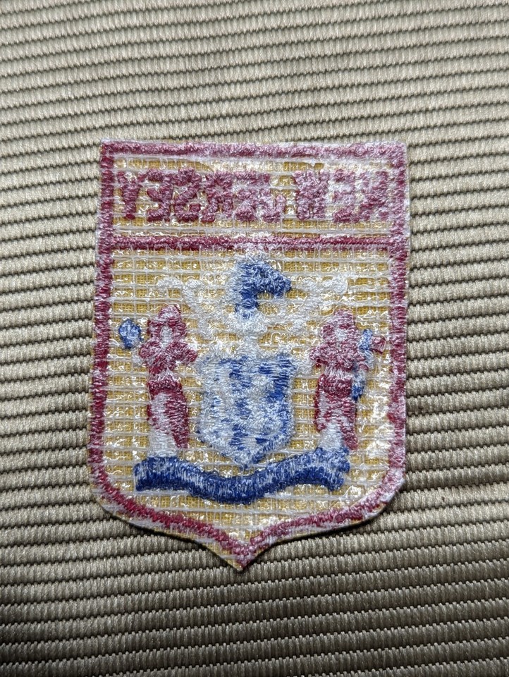 Vtg New Jersey NJ State Flag Insignia Emblem Logo Crest Shield Badge