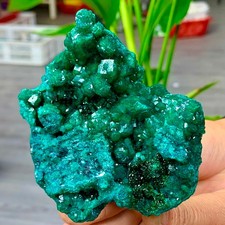 189G Natural green dioptase emerandine gemstone cluster mineral specimen