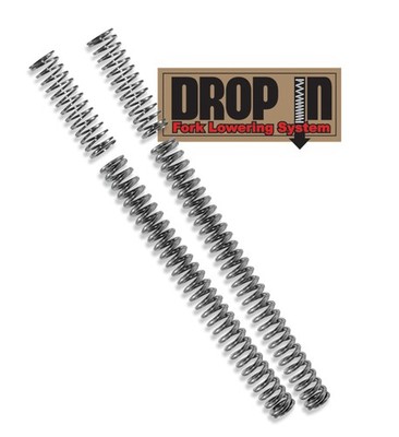 Progressive Suspension-PWS 10-2008