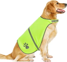 Reflective Dog Safety Vest High Visibility Waterproof Jacket Medium Yellow