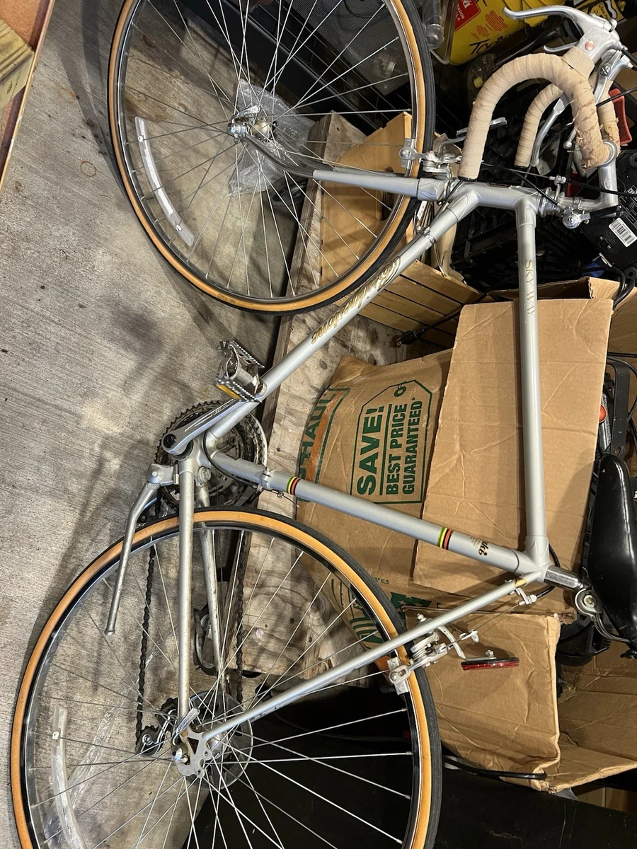 Bridgestone Road Bike Bikes for sale | eBay