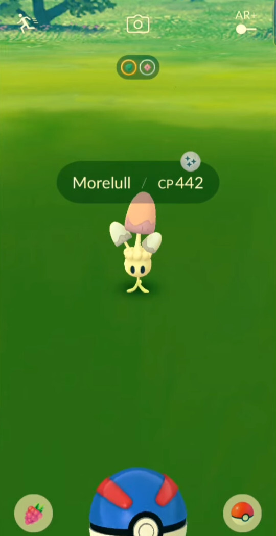 Pokémon Go Shiny Morelull Mini PTC XXL & XXS eBay