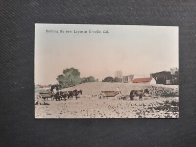 Vintage 1909 Postcard Of Building The New Levee At Oroville California