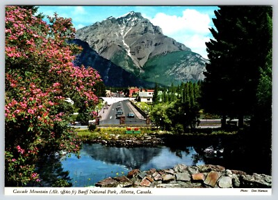 Postcard Cascade Mountain Banff National Park Canadian Rockies Chrome 4x6
