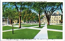 Vintage Postcard 1910s Harvard College Campus Cambridge Massachusetts