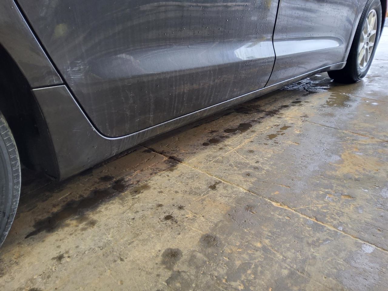 Passenger Side PACIFICA  2018 Rocker Panel Moulding 544628