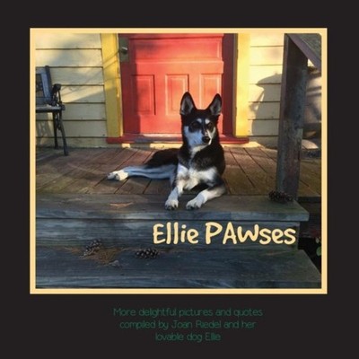Ellie PAWses Orange Hat Publishing Hardcover Orange Hat Publishin