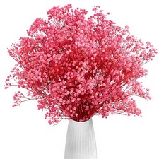 Gipizi Dried Baby's Breath Flowers Pink, 17inch Natural 43cm, Pink 
