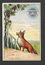 Victorian Trading Card - Wheeler & Wilson - "Fox and Grapes" (2K5)