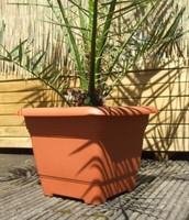 Perfekter PflanzküBel Nora, Pflanztopf, Blumentopf, 28 X 28 Cm, Terracottafarben