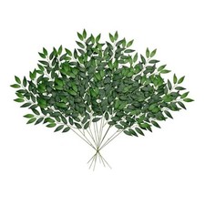 pcs Artificial Italian Ruscus Greenery Stems, Faux Green Leaf Branches for 12