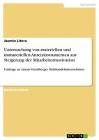 Jasmin Litera | Untersuchung Von Materiellen Und Immateriellen...
