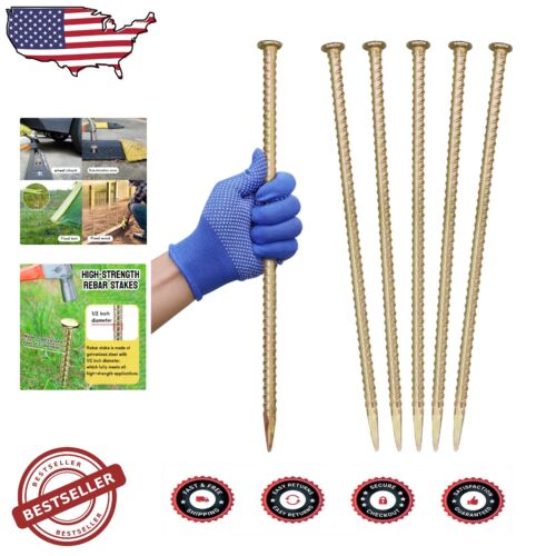 Multi-Purpose 16 Inch Rebar Stakes for Plants, Tents & Traffic Control - 10 Pack