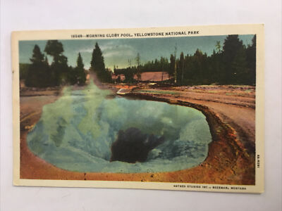 Morning Glory Pool Yellowstone National Park Vintage Postcard