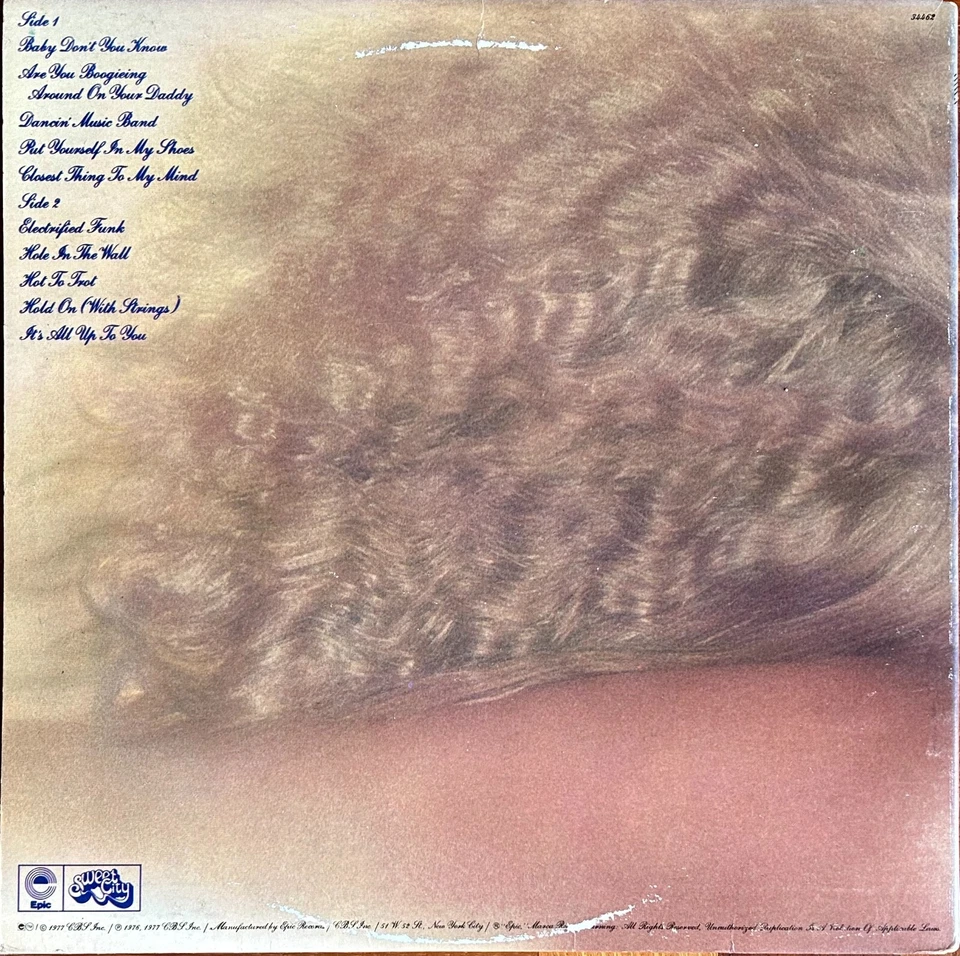 WILD CHERRY - ELECTRIFIED FUNK - LP US 1977 - GATEFOLD - EPIC PE 34462 - NM/VG+ - Immagine 3 di 4