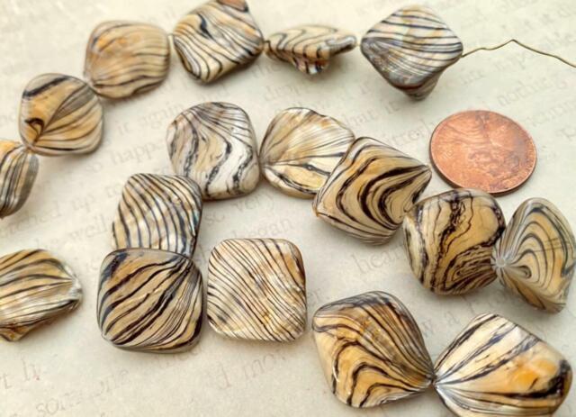 Striped Tan & Brown Shell Beads 14