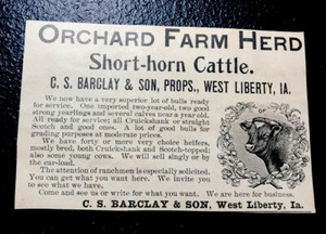 1900 Barclay & Son Farm Cattle Advertising - West Liberty - Iowa - Cow