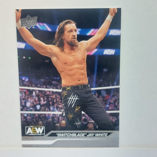 AEW 2024 Base Cards Complete your set - Picture 42 of 101