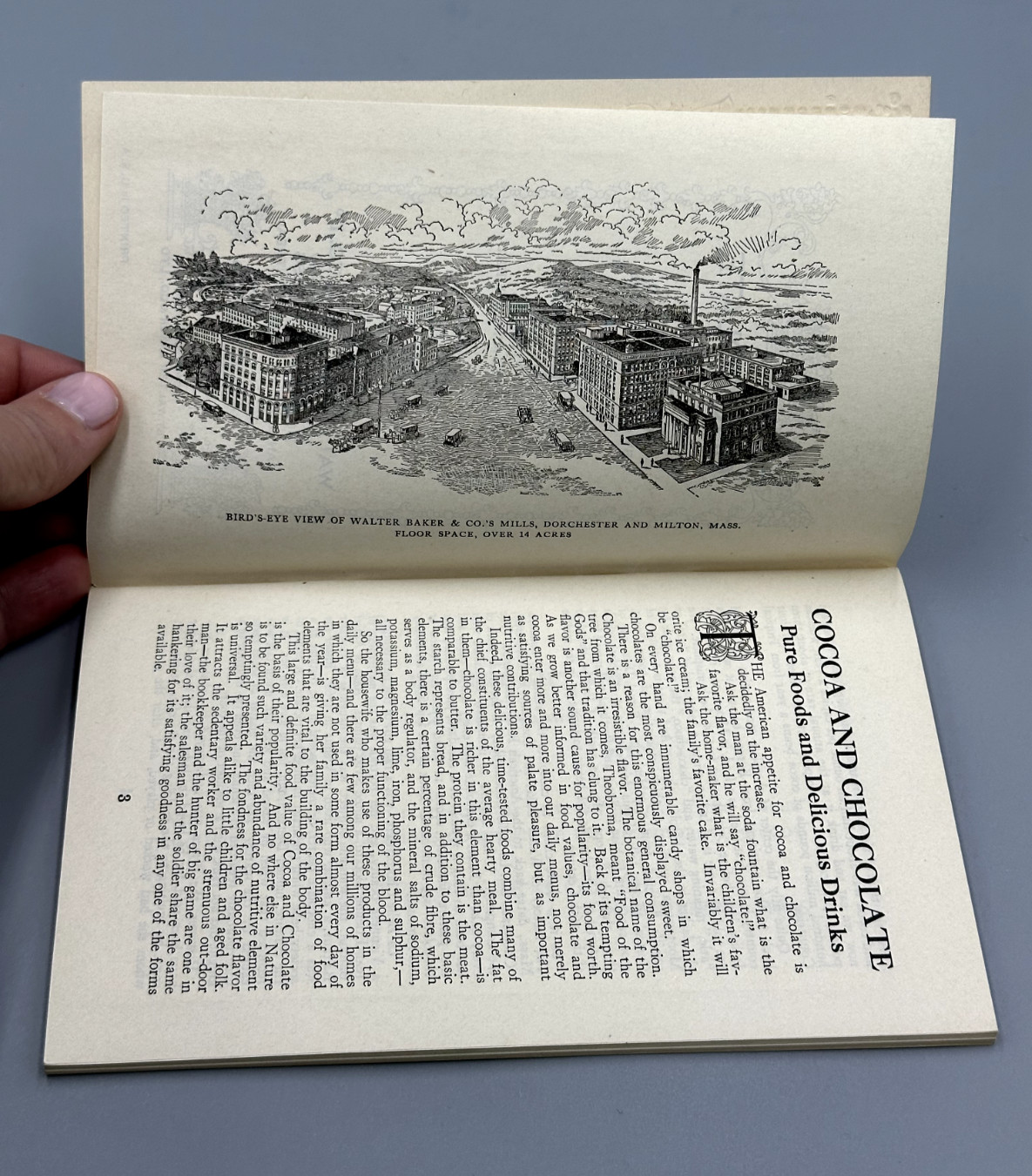 1925 Walter BAKER CHOCOLATE & COCOA Advertising Recipe Booklet Antique Cook Book