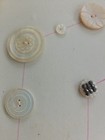 25 Carved and Etched Abalone Shell Buttons — photo 2