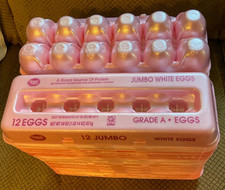 Lot 25 Empty Egg Cartons Styrofoam- Holds 1 Dozen JUMBO